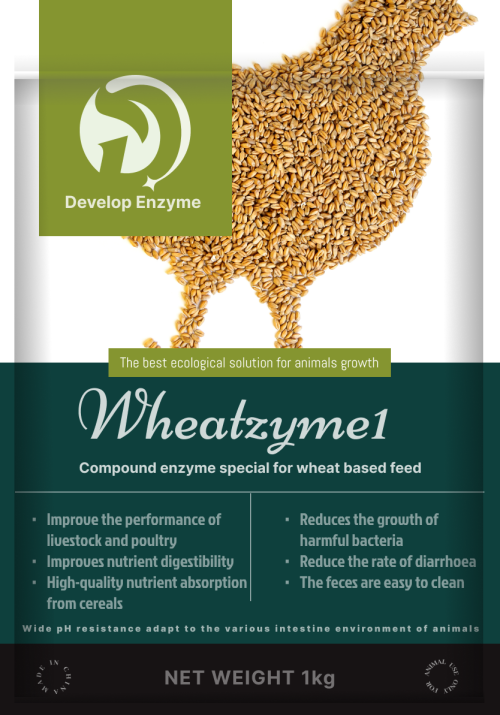 269f303e4ecfcaeda20bd772adf7c3701e828fc5